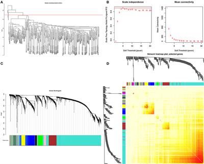 Identification Hub Genes in Colorectal Cancer by Integrating Weighted Gene Co-Expression Network Analysis and Clinical Validation in vivo and vitro